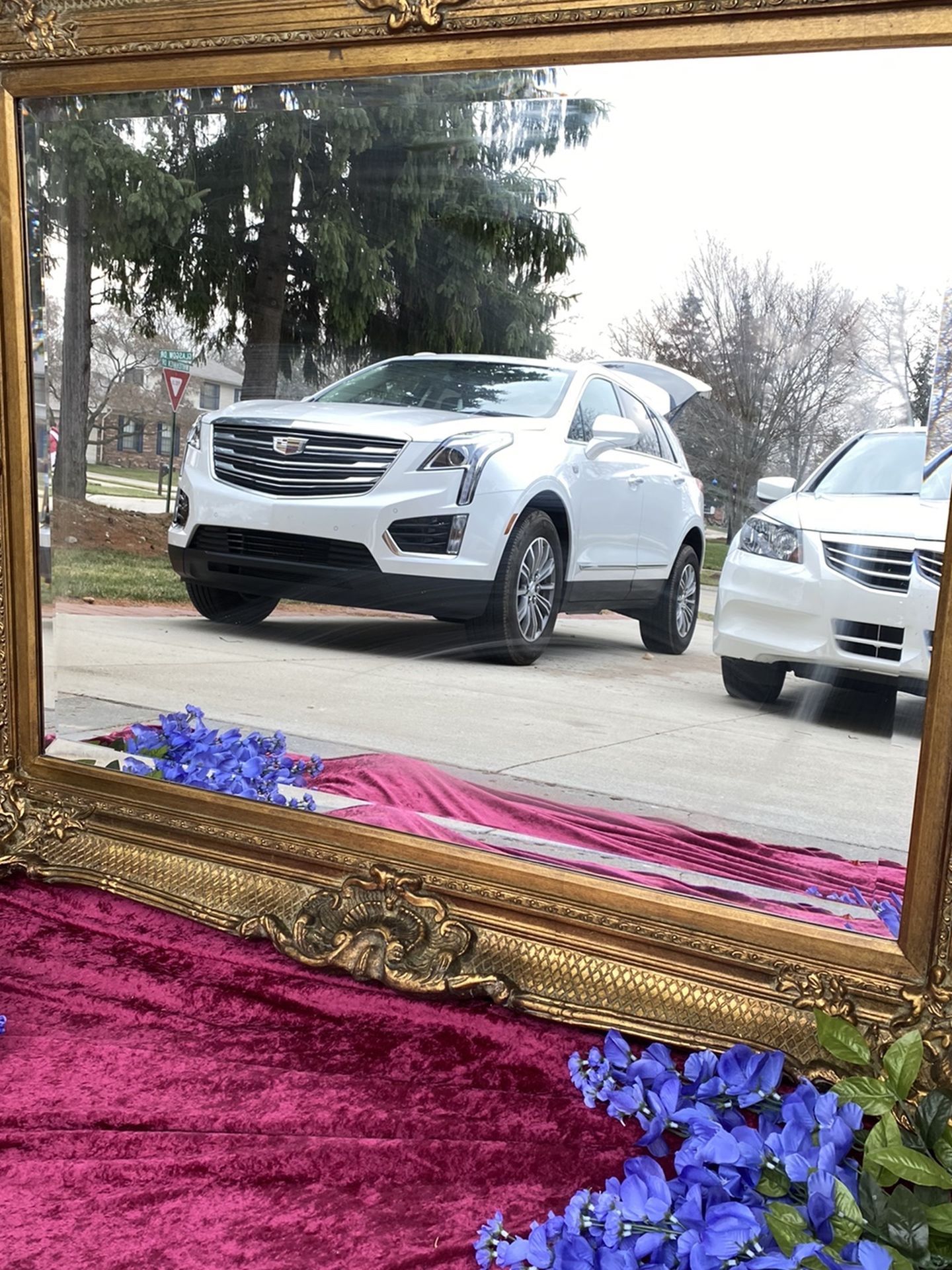 Gorgeous Antique Mirror