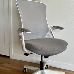 NEO CHAIR- office Computer Desk Chair High Back, Ergonomic, Adjustable 