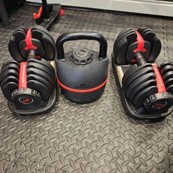 Bowflex SelectTech 552 Adjustable Dumbbells (Pair) 