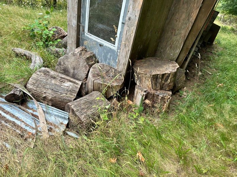 Firewood