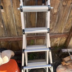 12 Ft Ladder 