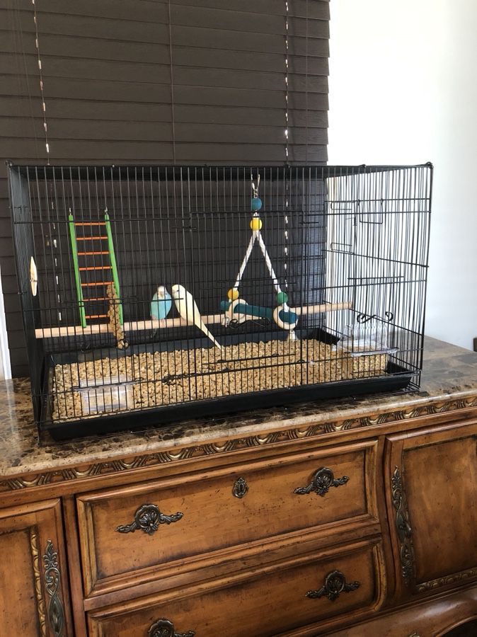 Bird cage for sale! Birds not included