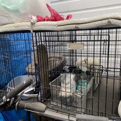 Medium Sized Dog Cages For Sale