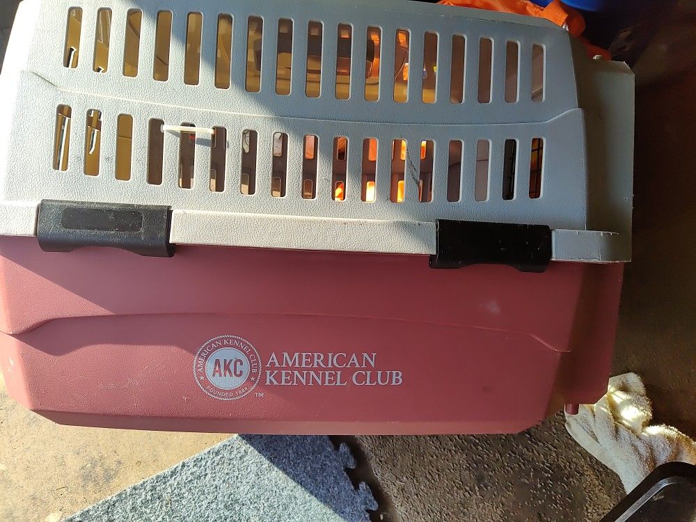 American Kennel Club
