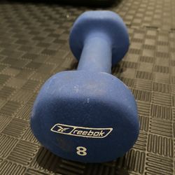 8 lb Dumb Bell (One Only )