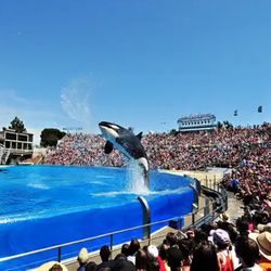 SeaWorld Tickets