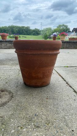 Terra Cotta Planter ($100)