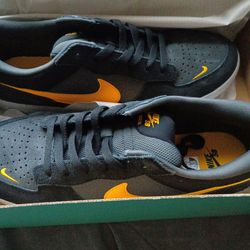 Brand New SB force 58 Nike shoes