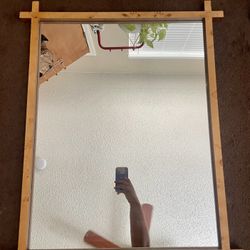 Target Studio McGee Burl Wood Mirror
