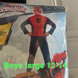 Spider Man Halloween Costume 