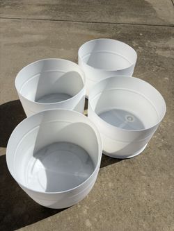 Half White 55 Gallon Barrels