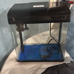 Fish Tank 