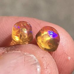 4089 Mexican Fire Opal solitaire stud earrings. 2.4ct total weight 7x5x4.4mm oval Cabochons