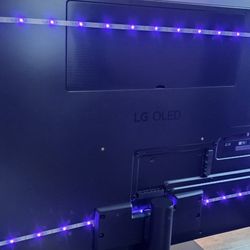 55" LG G4 OLED TV**Panel Issue**