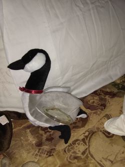 Ty beanie baby Loosy RARE