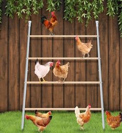 Chicken Perching Ladder