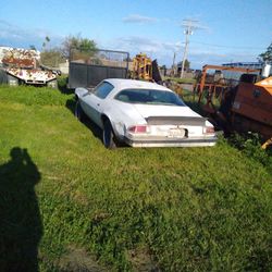 77 Chevy Camaro 