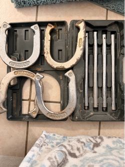Horseshoe set