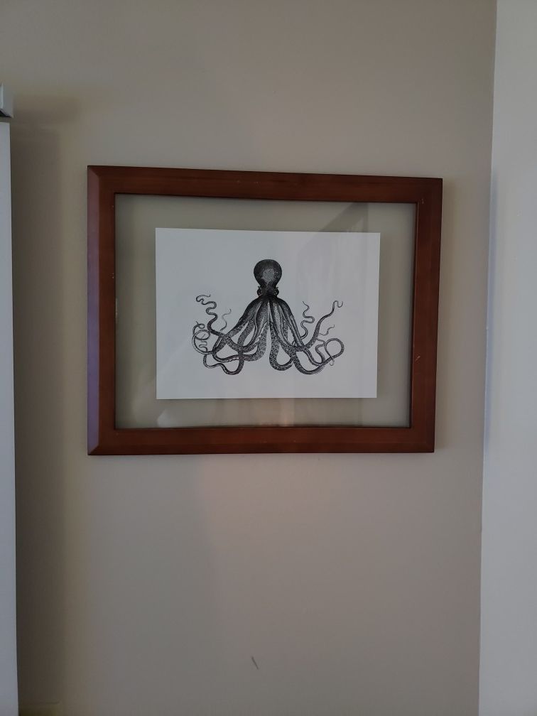 Nautical And Coastal Octopus Master Of The Sea Marine Life - Graphic Framed Art
