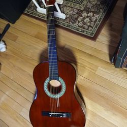 Brand New Acoustic Guitar 