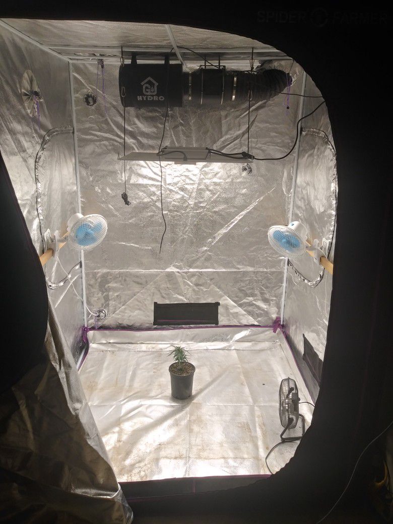 Grow Tent And Supplies Whole Set Up!!!