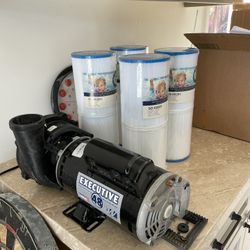 Hot Tub Pump (waterway Executive 48) And Filters