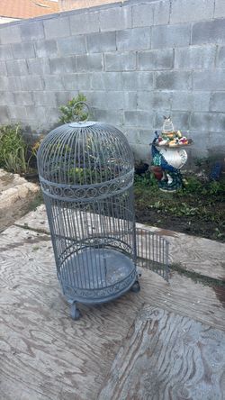 Vintage bird cage