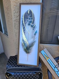 Framed Feather Wall Art Print