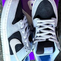 Nike SB Dunk Low Aluminum Size 11