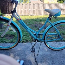 24 inch cruiser with basket