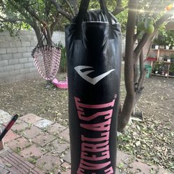 Punching Bag