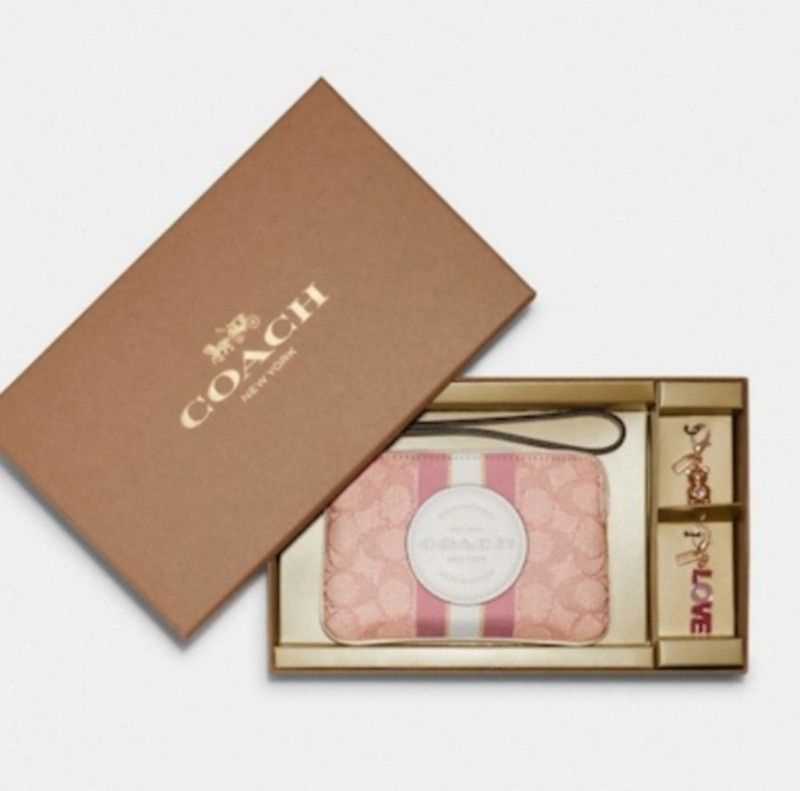 COACH BOXED DEMPSEY CORNER ZIP WRISTLET IN SIGNATURE JACQUARD WITH PATCH/STRIPE & 2 CHARMS