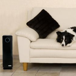 GemGuardian Air Purifier 
