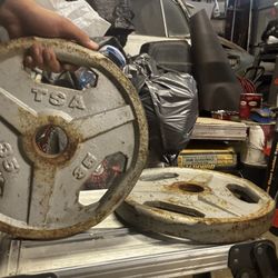 TSA 35lbs Plates 