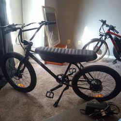 Zooz Ultra Urban 750 Ebike