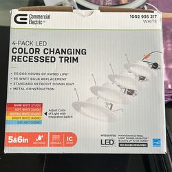 Color changing  ceiling lights fixtures .