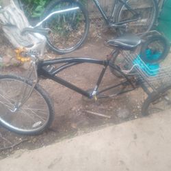 Trike Bike Cruiser or Lowrider