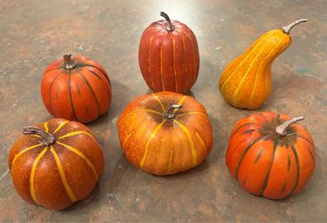 6 seasonal gourds tabletop decor