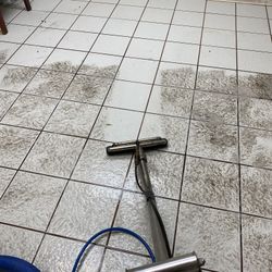 Floor Cleaner 