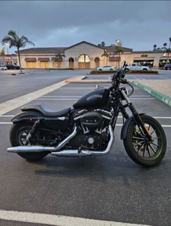 Harley Sportster 883