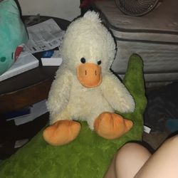 Duck Stuff Animal 