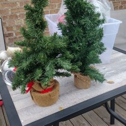 Two, 2ft Trees
