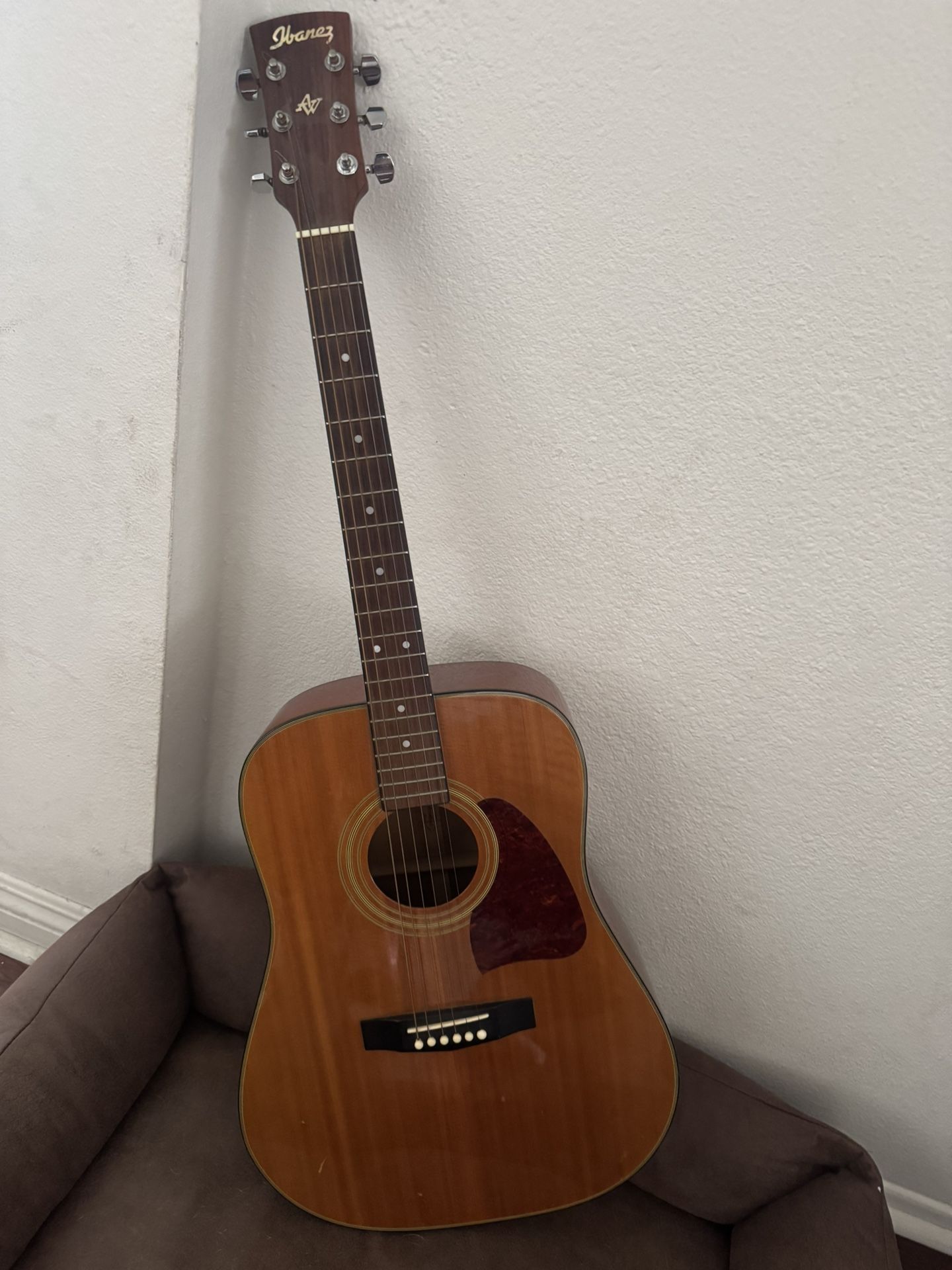 Ibanez Artwood Acoustic Guitar