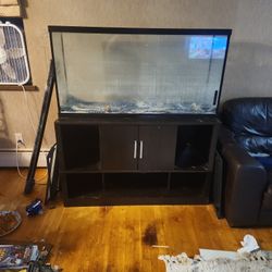 Full Fish Tank Set Up