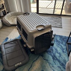 Brand new large dog crate + Kong pad