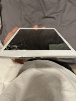 iPad Mini