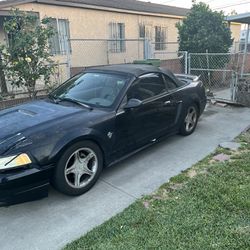 1999 Mustang Gt