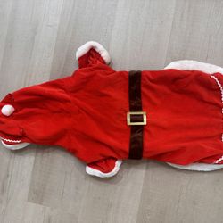 Christmas Dog Hoodie