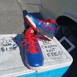 PODULON Jordans (RARE)