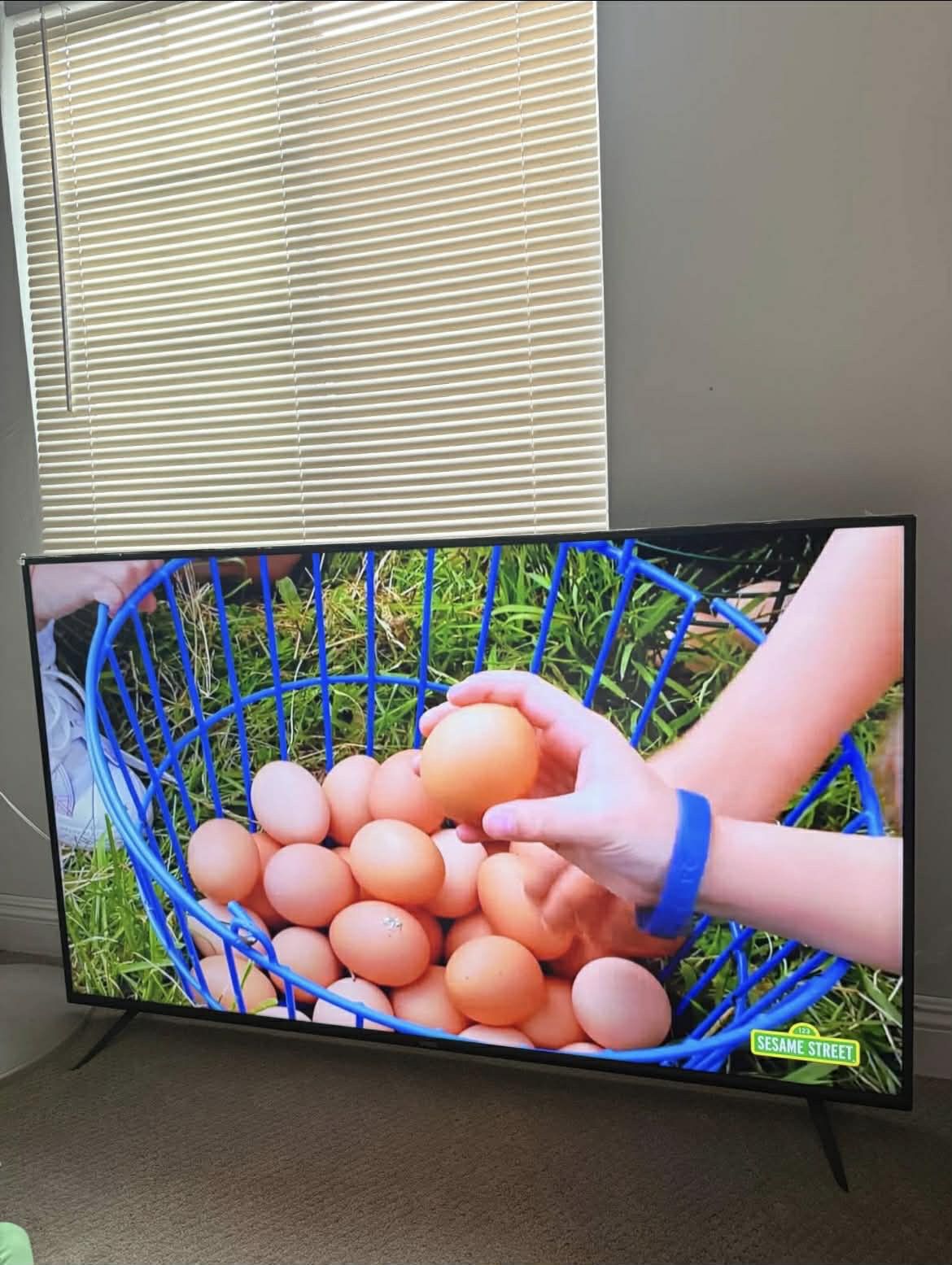 60" Vizio Smart Tv